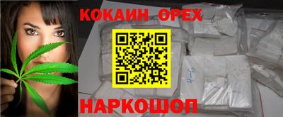 прущие грибы Апшеронск