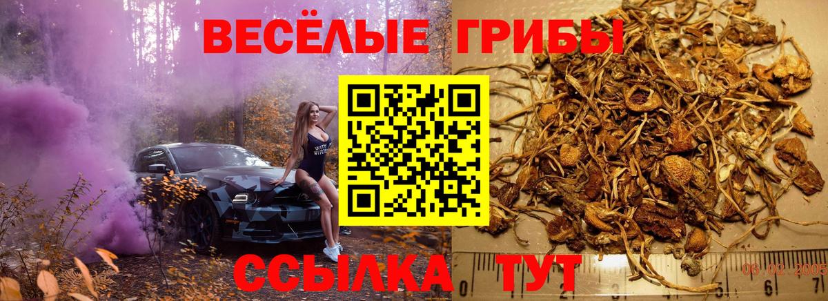 Галлюциногенные грибы ЛСД  Вход с VPN  Волгодонск 